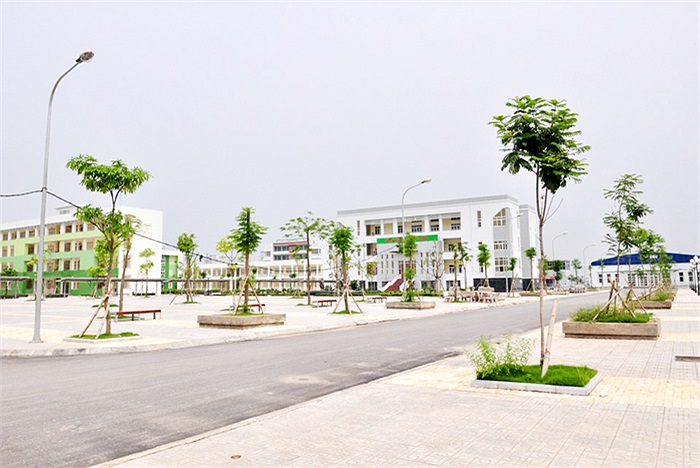 Khuôn viên trường được trồng nhiều cây xanh