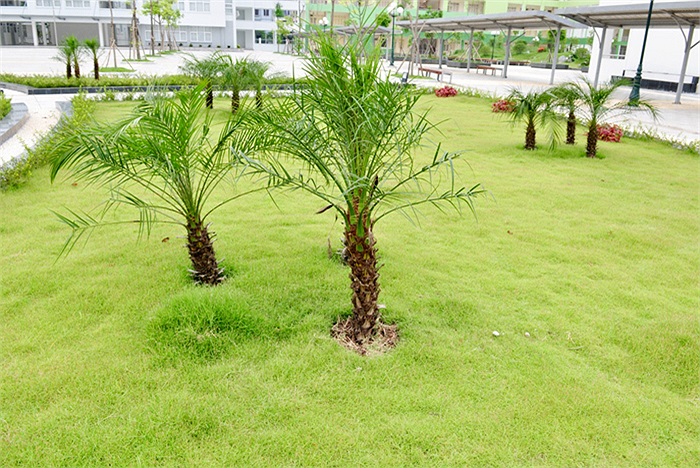 Kiến trúc ngôi trường được thiết kế đẹp mắt