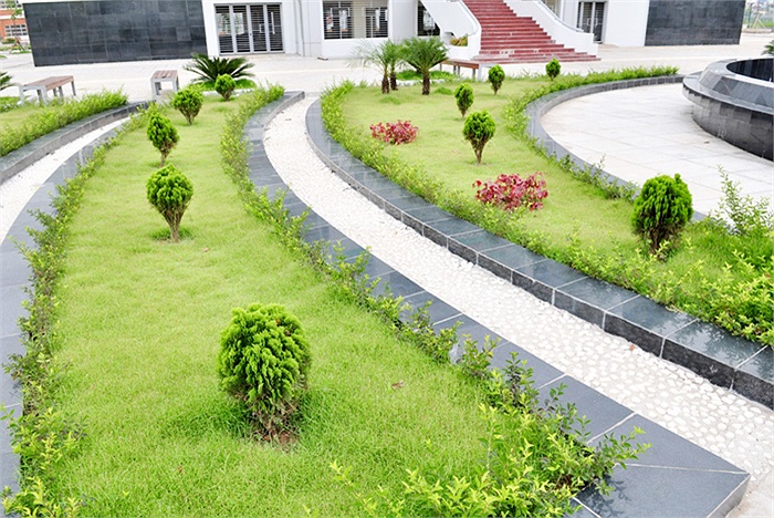 Đẹp như ở công viên