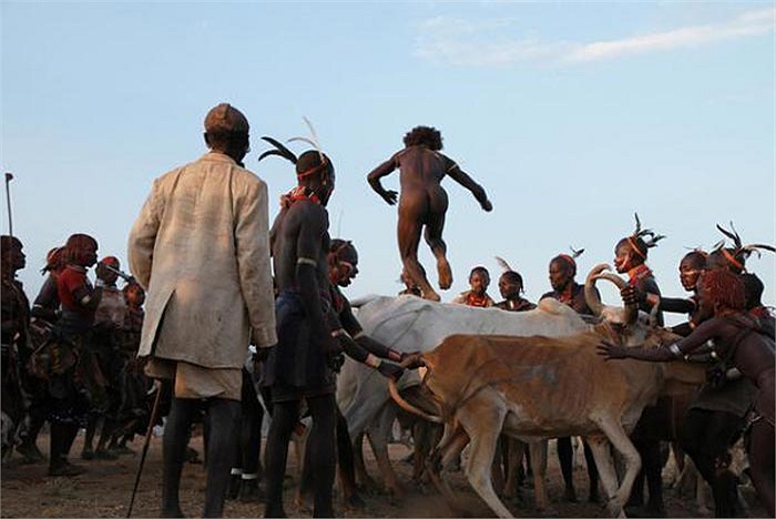 Sau khi hoàn thành nghi thức khó khăn này, các chàng trai mới chính thức được công nhận là người trưởng thành, được lập gia đình và tham gia các cuộc hội họp trong bộ lạc.