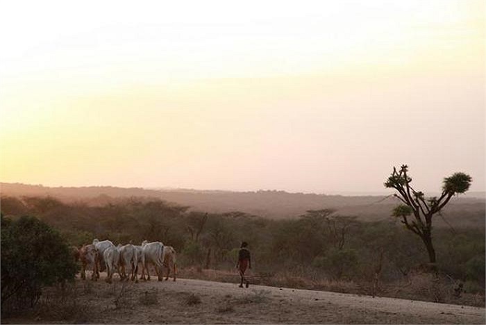 Thung lũng Omo ngày nay không còn là một nơi cô lập và cuộc sống của người Hamer cũng đã ít nhiều bị ảnh hưởng bởi thế giới bên ngoài, những tập tục văn hóa này liệu còn tồn tại được bao lâu nữa?