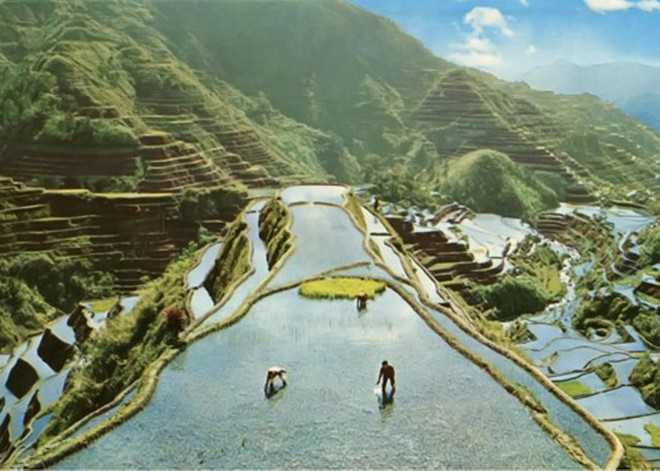 Hình ảnh ở Philippines do Huyền Chip cung cấp.... giống hệt hình ảnh khi tìm trên Google, cụ thể là trên trang Flickr.com