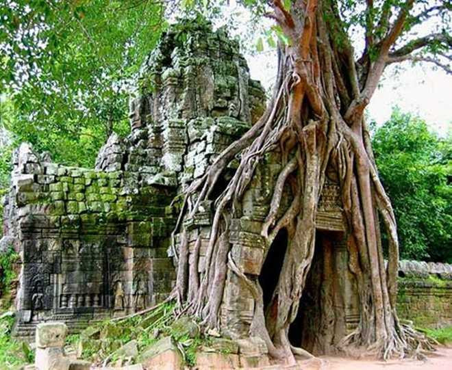 Một hình ảnh khác về Angkor Wat, khu di tích quan trọng bậc nhất của Campuchia...