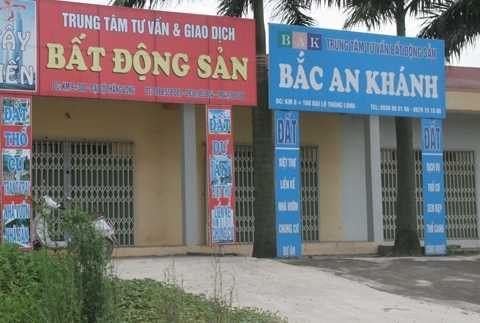 sàn bất động sản