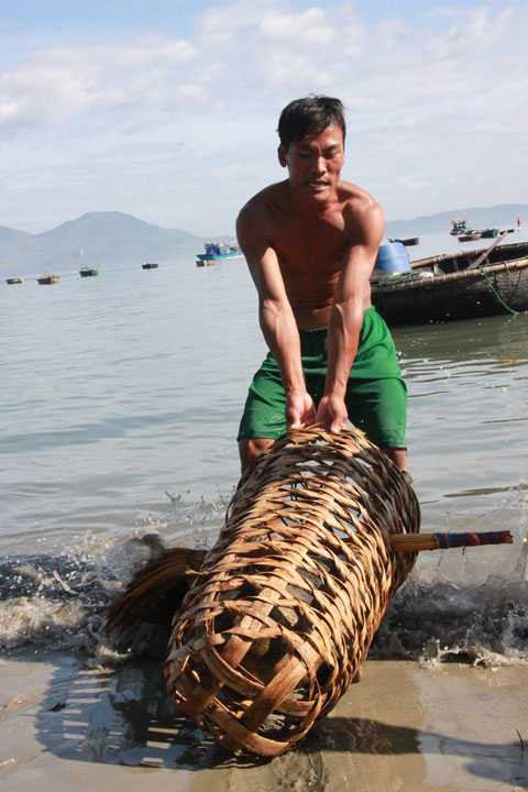 Đà Nẵng, bát được hả cẩu, ngư dân, thả lưới, biển, đại dương