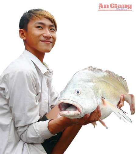 sông hậu, giăng lưới, cá lớn, đời ngư phủ