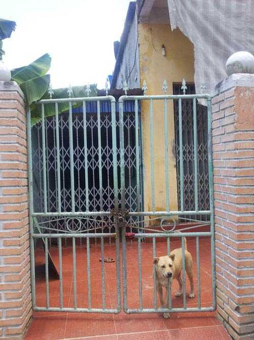 Nhà của Đặng Đình Hải đóng cửa im lìm sau khi vụ việc xảy ra.