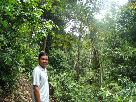 Đại tướng Võ Nguyên Giáp