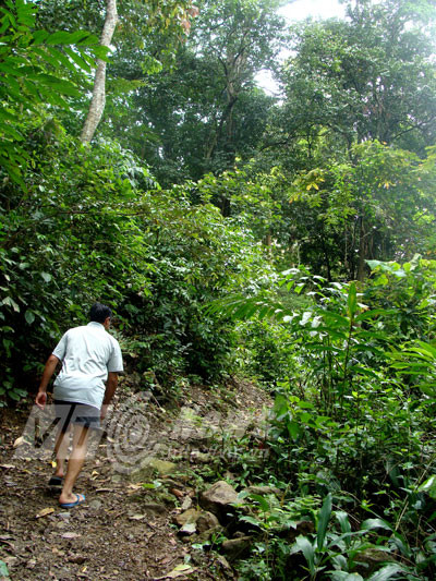 Đại tướng Võ Nguyên Giáp