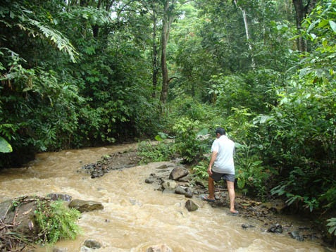 Đại tướng Võ Nguyên Giáp