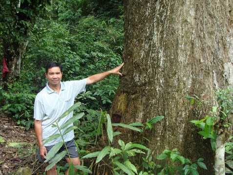 Đại tướng Võ Nguyên Giáp