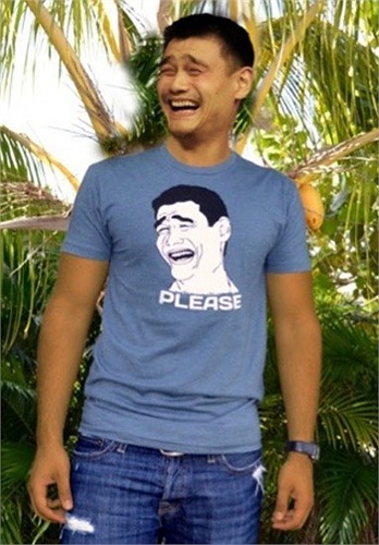 Hình ảnh chế của Diêu Minh