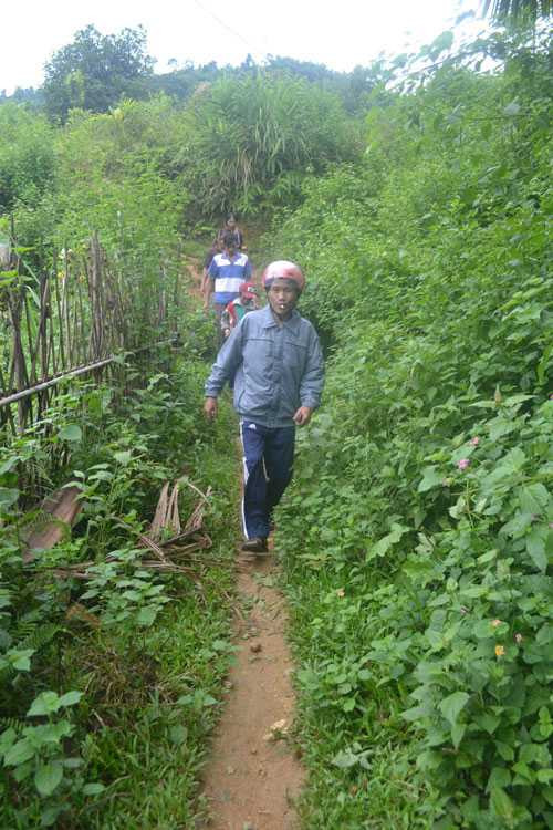 Nỗi nhớ rừng luôn thường trực trong anh