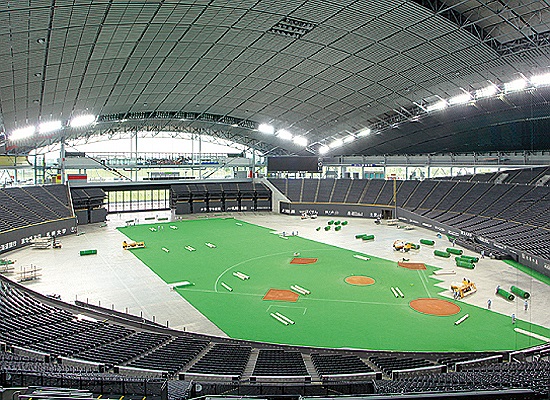 Dome cũng được sử dụng như một sân khấu siêu đặc biệt trong Rally Nhật Bản trong cả hai năm 2008 và 2010 .