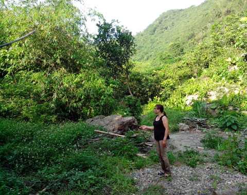 Một khu đất trang trại đang chào bán với mức giá siêu rẻ