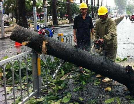 Hiện trường nhánh cây cổ thụ với đường kính gần 0,5 mét bất ngờ gãy ngang đổ xuống đường