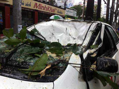 Mui chiếc taxi bị hư hỏng nặng sau khi bị nhánh cây đè ngang, 4 người trên xe một phen kinh hoàng thoát nạn đầy may mắn