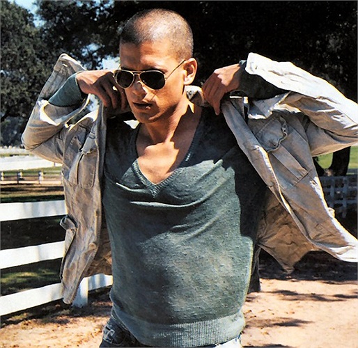 Trước đó, Wenworth Miller đã khá thành công trong vai trò đồng tác giả kịch bản kiêm biên kịch cho phim kinh dị Stoker