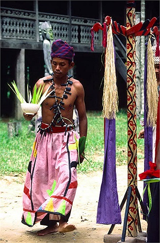 Ngoài ra, còn có tới hơn 3 triệu người gốc Việt sống rải rác tại một số vùng của đất nước Indonesia và bán đảo Mã Lai.