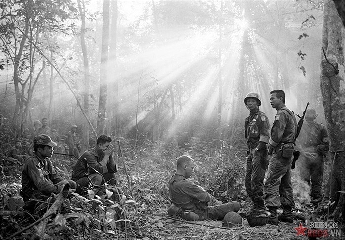 Ánh nắng xuyên qua tán lá rừng rậm rạp bao quanh Bình Giã, cách Sài Gòn 60 km về phía Đông, đầu tháng 1/1965