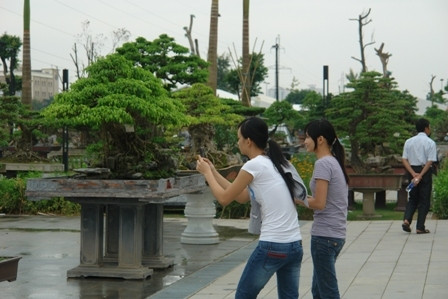 Thú chơi tao nhã thời hiện đại cũng nhiều... cạm bẫy.