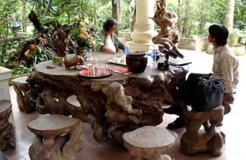 gốc cây, tiền tỷ, gốc trắc, gỗ ngàn năm tuổi, gốc cây hóa thạch, gốc trâm