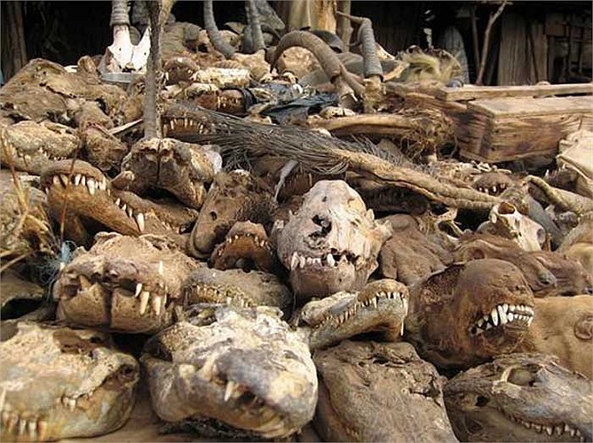 Hầu hết những bộ tộc thổ dân châu Phi đều có những tục lệ thờ cúng tín ngưỡng rất kỳ quái và hoang dã.