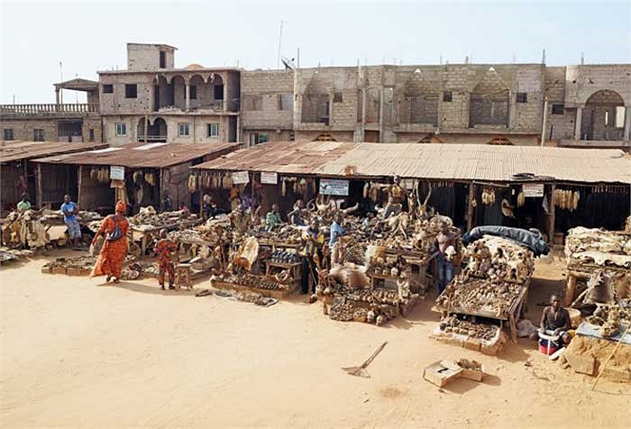 Tại những gian hàng lộ thiên này, người ta bày bán tất cả mọi vật phẩm kinh dị nhất.