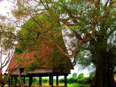 hủ tục, mông muội, tây nguyên, “Dọ-tơm-amí”, “Joă ană”