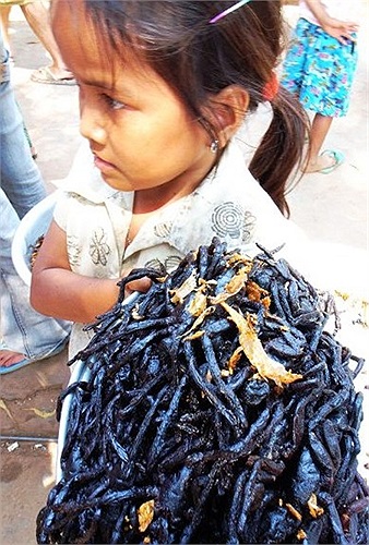 Nhện chiên ở Campuchia.