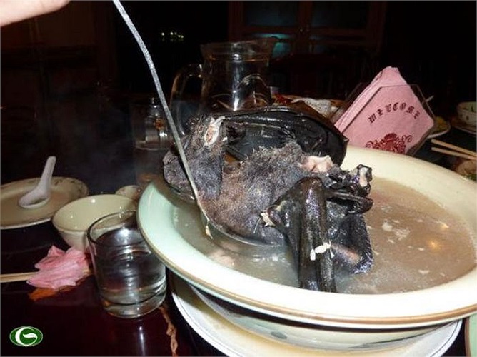 Món dơi luộc ở Thái Lan.