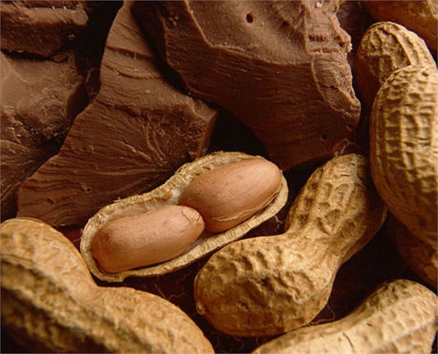 Nếu bạn ăn chay, bạn có thể ăn lạc, vừng, đậu,