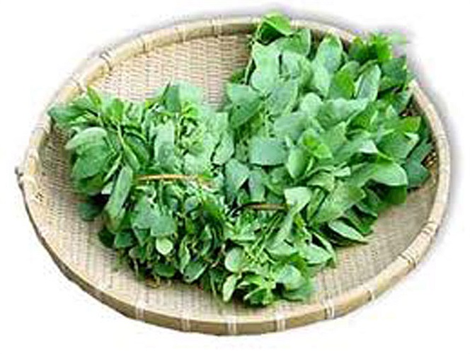 Mọi người đều biết rằng ăn rau rất quan trọng nhưng quan trọng hơn phải biết mỗi loại rau giúp ích cho bạn thế nào. Rau lá xanh đậm có thể làm giảm loãng xương và giúp bạn có được thị lực tốt hơn. 