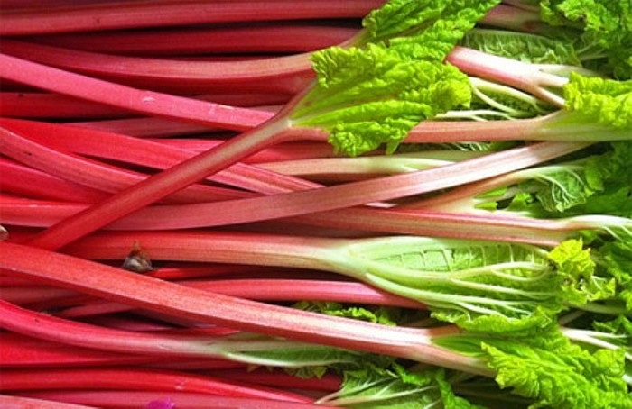 Cây đại hoàng (Rhubarb). Loài cây này nổi tiếng là trị được nhiều bệnh tật. Tuy nhiên, lá của cây đại hoang có thể gây ngộ độc.