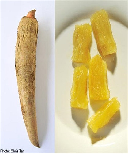 Bột sắn hột, hay còn gọi là bột sắn. Loại thực phẩm này sẽ trở nên nguy hiểm chết người nếu không biết cách chế biến, nó có thể sản sinh ra chất hoá học Xyanua.