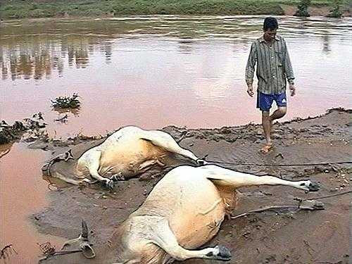 Vào ngày 24/5/2011, nhà máy thuỷ điện Ka Nát(Ban Thuỷ điện 7 làm chủ đầu tư) bất ngờ xả lũ lúc nửa đêm làm người dân huyện K’Bang (Gia Lai) mất trắng hơn 14 tỉ đồng.