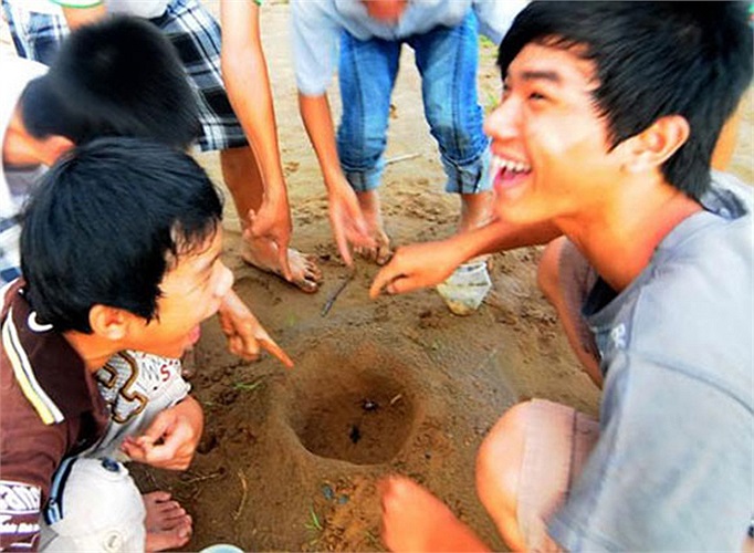 Đi bắt dế, chơi trò đá dế