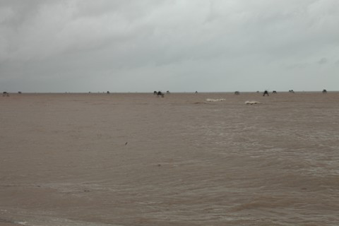 bão số 6, Ninh Bình, thiên tai, chỉ đạo, Bí thư Tỉnh ủy