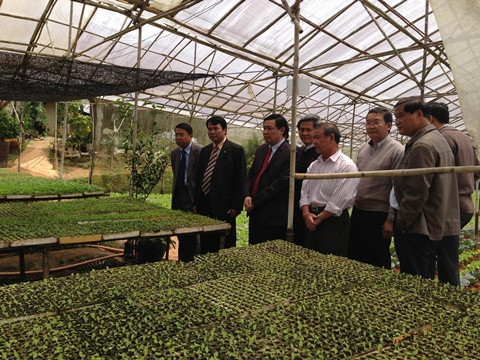 Trưởng ban Kinh tế Trung ương khảo sát trang trại của HTX dịch vụ nông nghiệp tổng hợp Anh Đào (Lâm Đồng)
