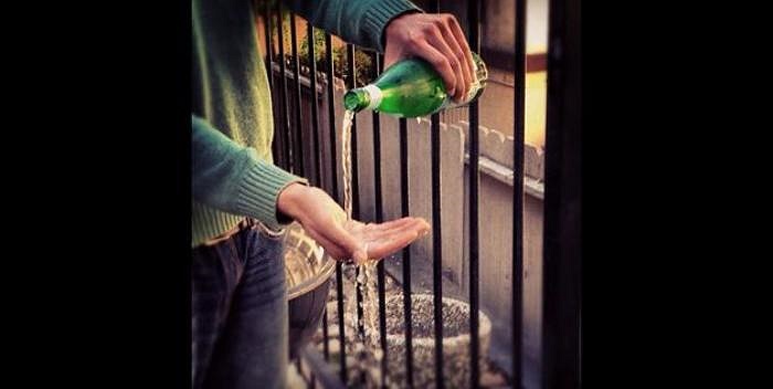 Thậm chí, xa xỉ hơn khi cậu dùng nước khoáng Pellegrino để rửa tay