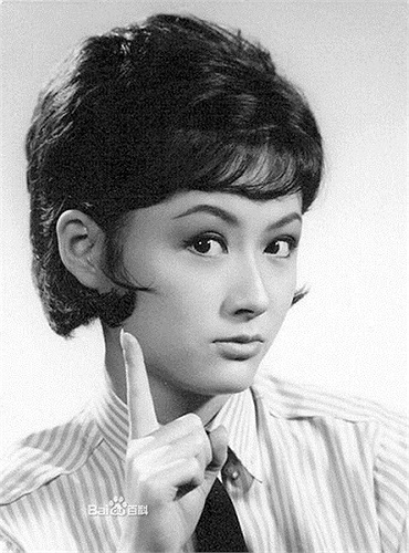 Thành công trong sự nghiệp trong Phan Nghinh Tử lại khá bất hạnh trong hôn nhân.