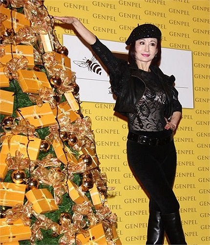 Suốt hơn 30 năm qua, Phan Nghinh Tử vẫn sống một mình vì bà không thể tìm được người đàn ông hòa hợp về tâm hồn.