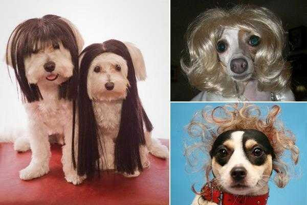 nghe kinh doanh doc dao