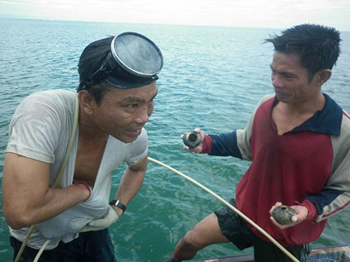 tàu cổ, cổ vật, núi thành, quảng nam