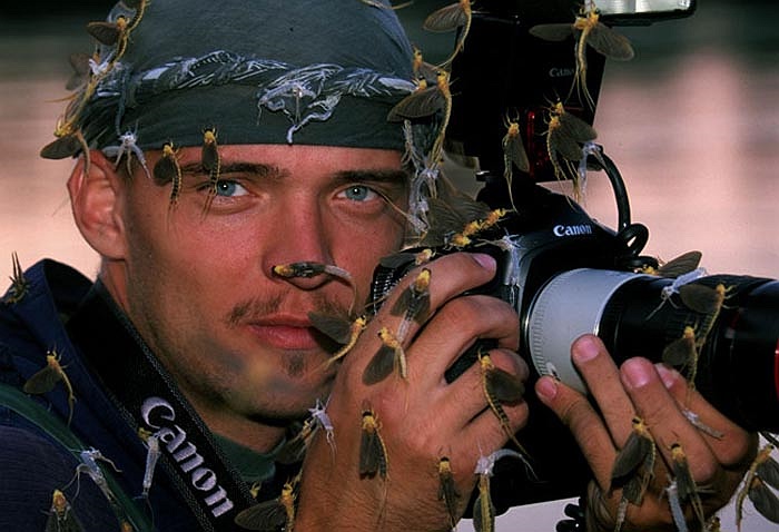 Sông Tisza mùa phù du đuôi dài sinh sản là điểm đến không thể bỏ qua của nhiều nhiếp ảnh gia chuyên nghiệp yêu thiên nhiên.