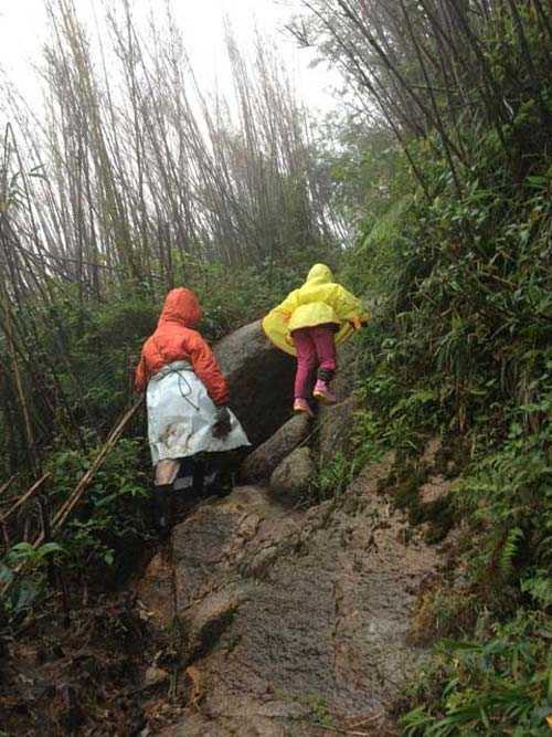 'Phượt nhí' 5 tuổi chinh phục đỉnh Fansipan