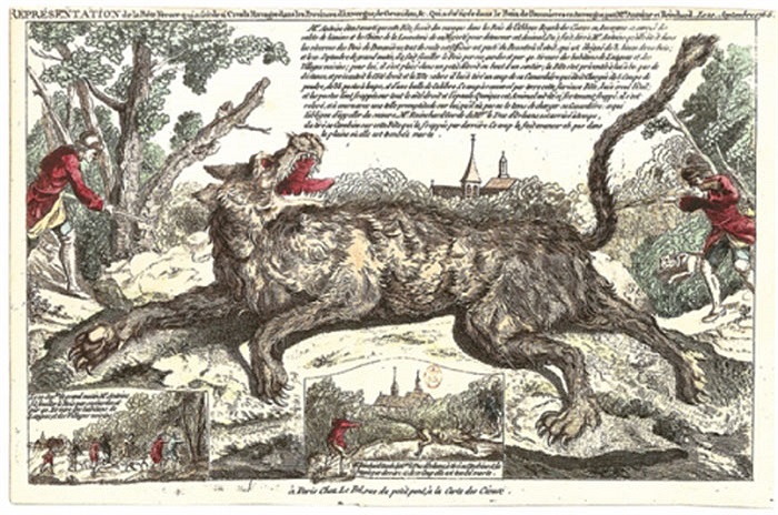 Có một giả thuyết cho rằng, quái vật Gevaudan chỉ là một con vật (giống chó sói lai chó nhà) có thân hình to lớn và vô cùng khôn ngoan.