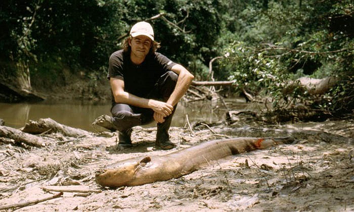 Lương điện khổng lồ thường được tìm thấy ở Guatemala, Argentina và các hòn đảo Caribbean của Trinidad.