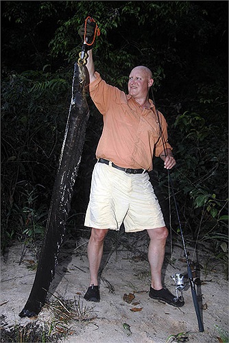 Ở hai bên sống lưng của lươn điện, có 2 nhà máy điện, mỗi nhà máy gồm 70 cột điện đấu song song, mỗi cột là một chồng gồm 6.000 tế bào phát điện đấu nối tiếp.