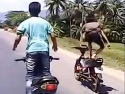 Ba thanh niên đi xe máy với tốc độ "chóng mặt" trên quốc lộ 1A (đoạn qua tỉnh Khánh Hòa) rồi bỏ tay, đứng hẳn trên yên xe múa võ biểu diễn.